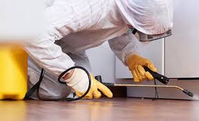 Best Termite Inspection and Treatment  in Villas, NJ